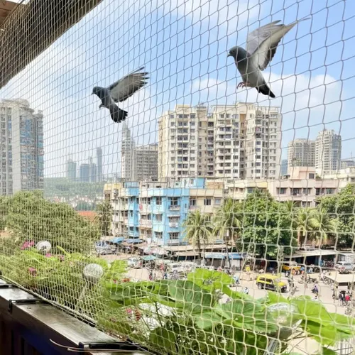 Bird protection net